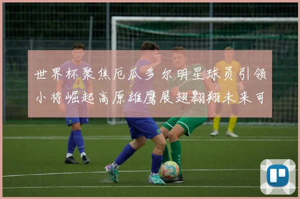 世界杯聚焦厄瓜多尔明星球员引领小将崛起高原雄鹰展翅翱翔未来可期